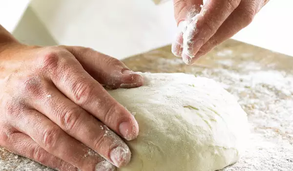 Panettone Dough