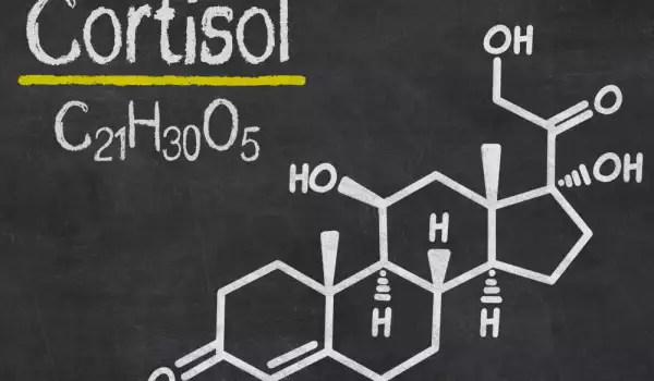 Cortisol