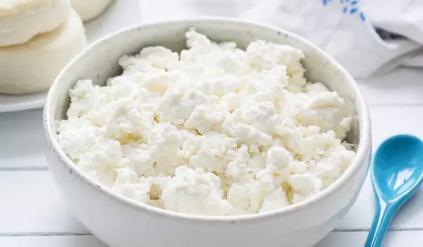 What to Look Out for When Buying Cottage Cheese?