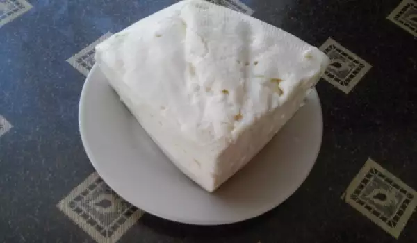 Homemade Buffalo Cheese