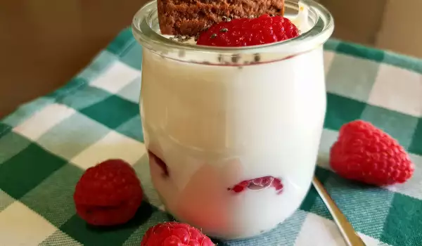 Homemade Strained Yogurt with Raspberries and Biscuits