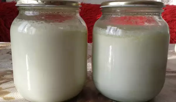 Homemade Yoghurt
