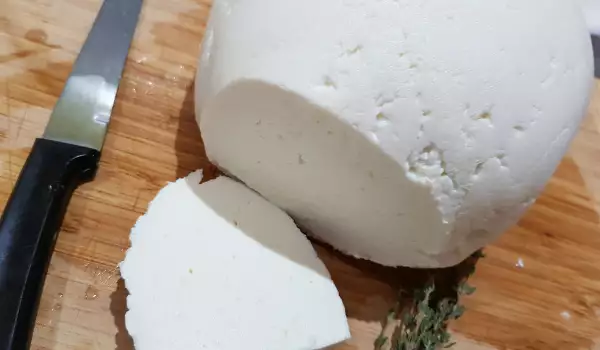 Homemade Sheep Milk Cheese