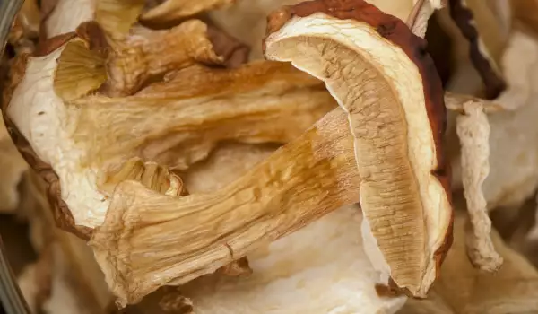 How to Store Dried Porcini Mushrooms?