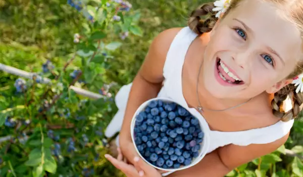 The most healthy fruit: blueberries