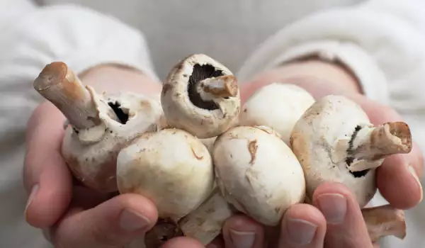 How to Peel Mushrooms?