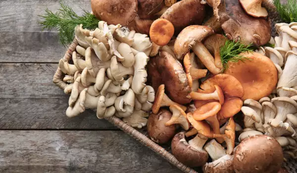 How to Store Mushrooms?