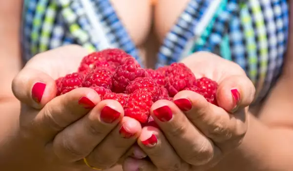 Why Must We Eat Raspberries?