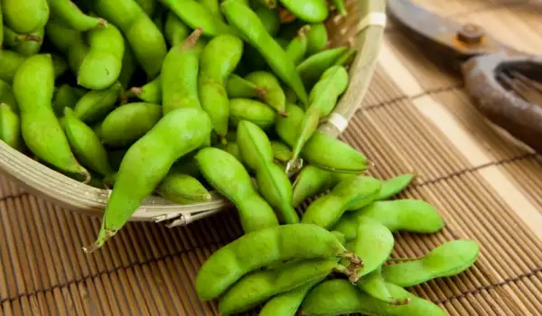 How to Cook Edamame?