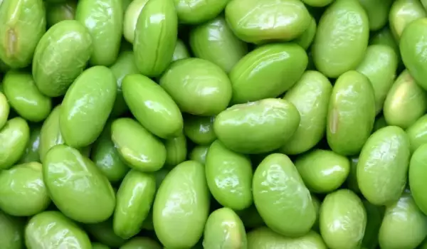 What is Edamame?