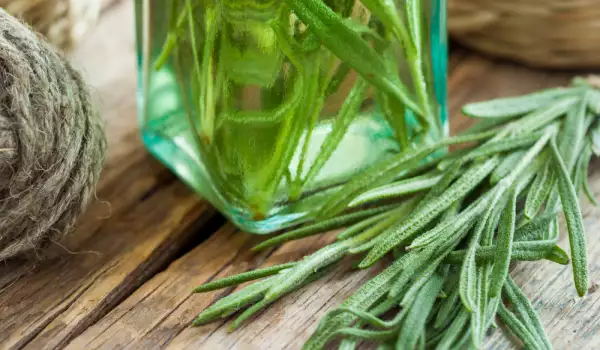 Fresh Rosemary