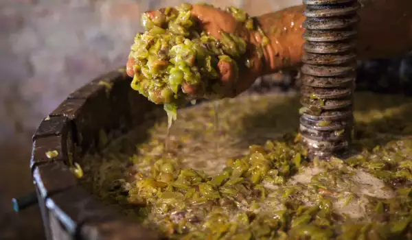 Making wine from grapes