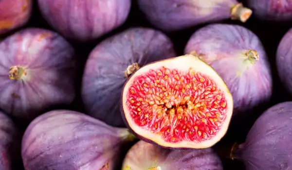 Figs