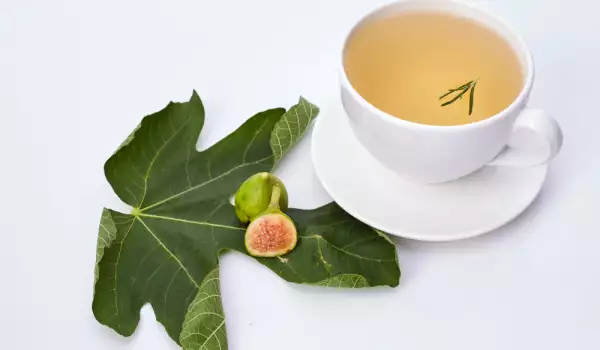 Fig Leaf Tea