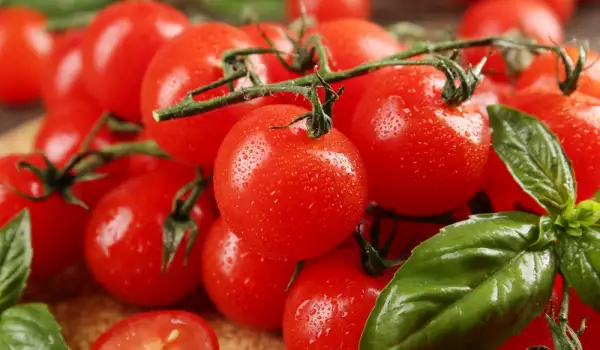 fresh cherry tomatoes