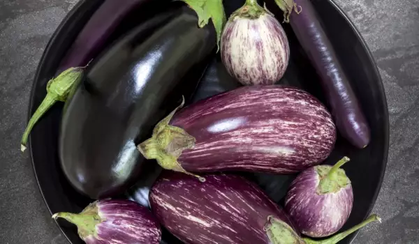 What Does an Eggplant Contain?