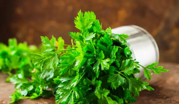How to Freeze Parsley in the Freezer for the Winter?