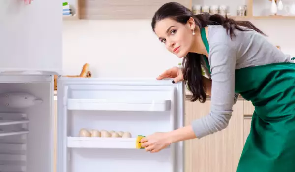 How and What Refrigerator Should We Choose?