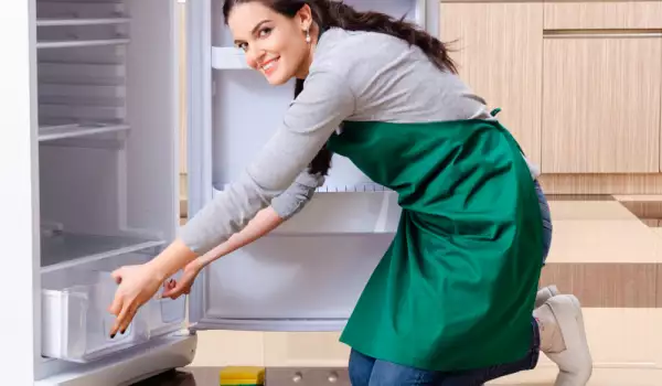 How to Defrost a Refrigerator?