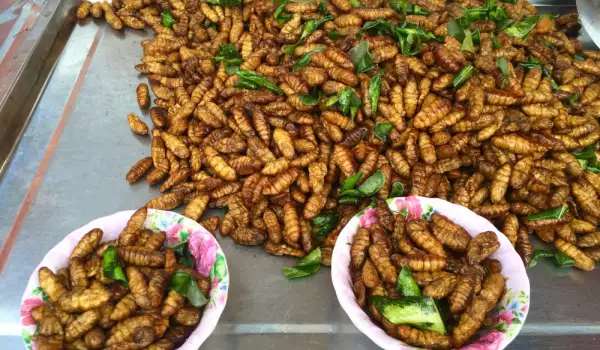 Fried Insects