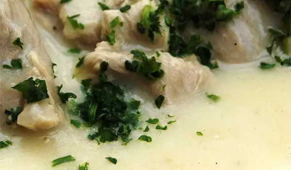 Quick Fricassee with Yoghurt