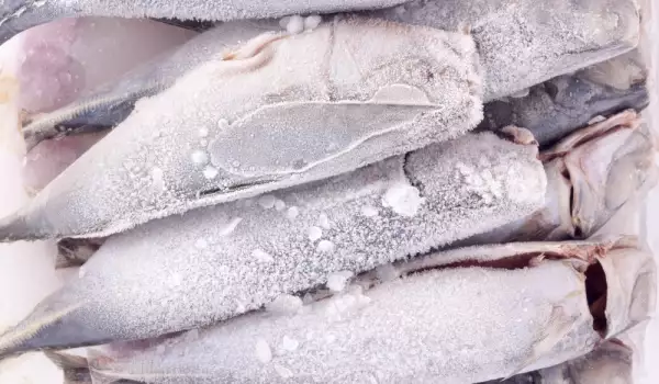 How to Defrost Fish