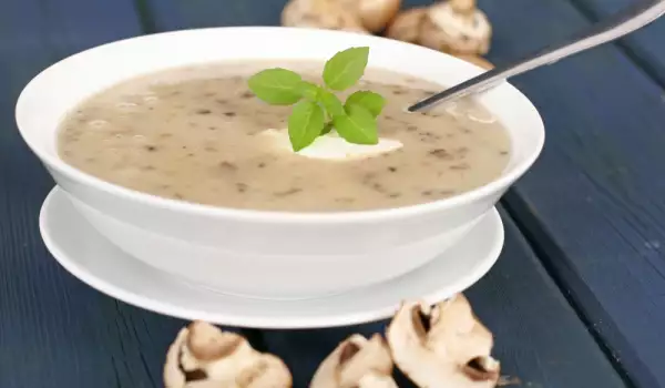 Oyster Mushroom Cream Soup