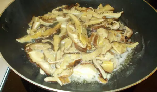 Shiitake Mushroom Recipes