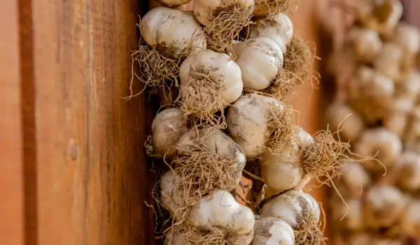How to Make Garlic and Onion Braids