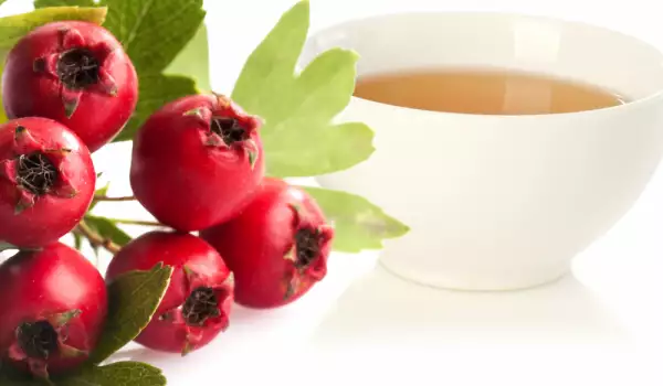 Benefits of hawthorn tea