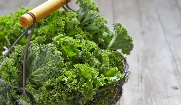 How to Store Kale?