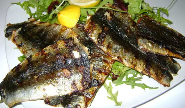 Grilled Herring Fillet with a Salad Mix