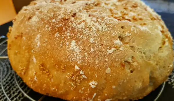 Bread with Sourdough and Quinoa