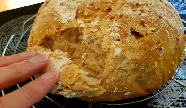 Bread with Sourdough and Quinoa