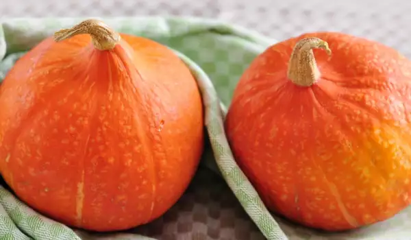 How to Store Pumpkin?
