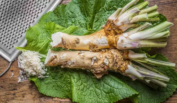 What are horseradish leaves used for