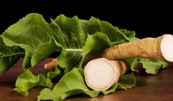 Horseradish leaf benefits