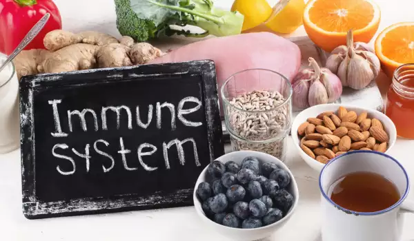 Vitamin C helps the immune system