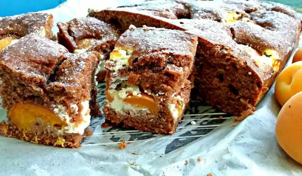 Unbelievable Apricot Cake with Cream Cheese