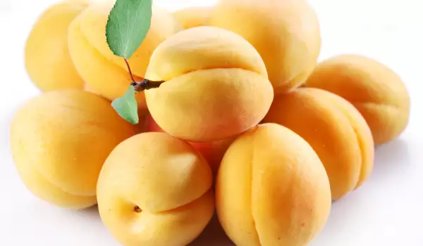 Apricot fruit