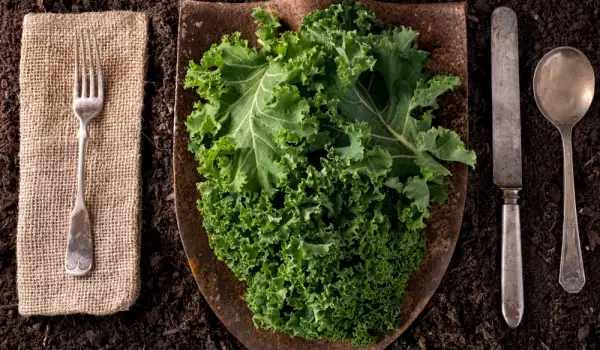 Benefits of kale consumption