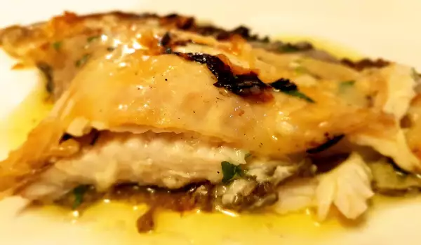 Grilled Turbot with Lourdes Water