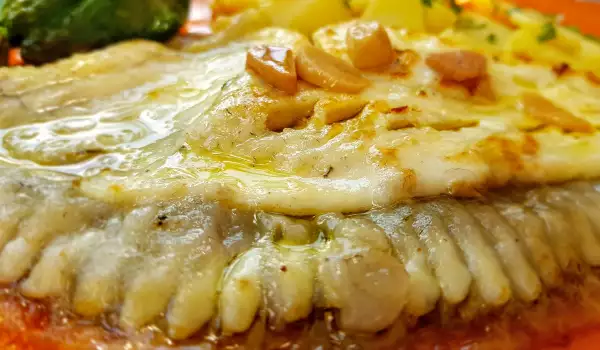 Pan-Seared Delicious Turbot
