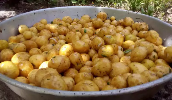 Potatoes with Dill and Garlic