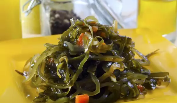 Kelp Seaweed