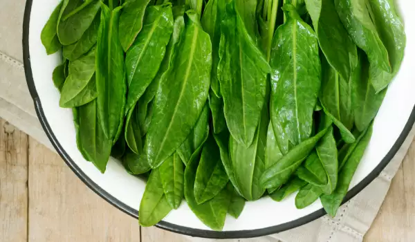 What to Cook with Sorrel?