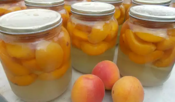 Apricot Compote with Geranium