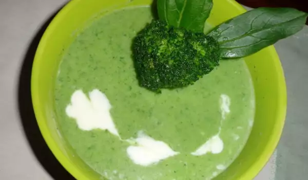 Light Green Cream Soup