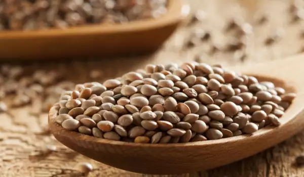 Do Lentils Need to be Soaked?