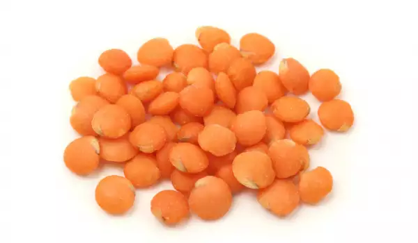 Orange lentils